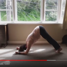 Alternatives to sun salutations that take the weight off your hands and wrists [video]