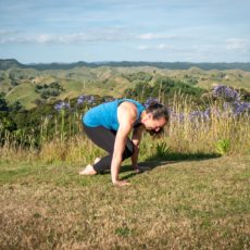 Lolasana or pendant pose 101  (a new option for core strength)